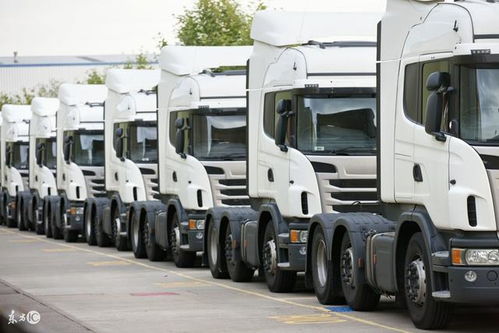 首批國產電動物流車運抵美國，技術優勢開啟國際化新征程